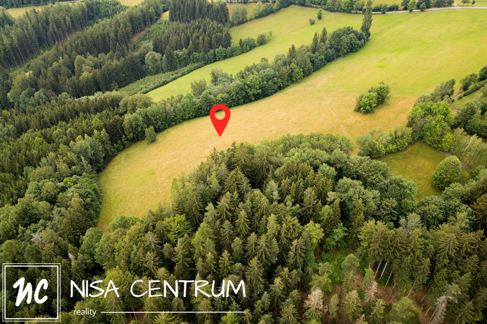 Prodej pozemku - trvalý travní porost, 23 358 m² ve Víchové nad Jizerou