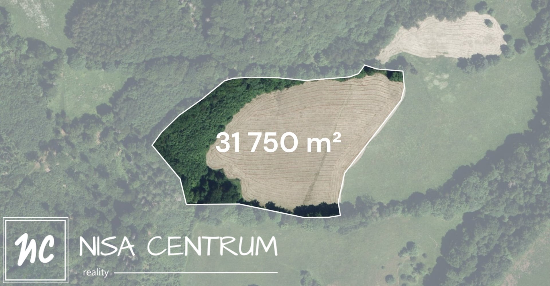 Prodej pole 31 750 m², Víchová nad Jizerou